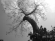 DSCN5908