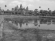 DSCN5953