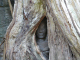 P1120832