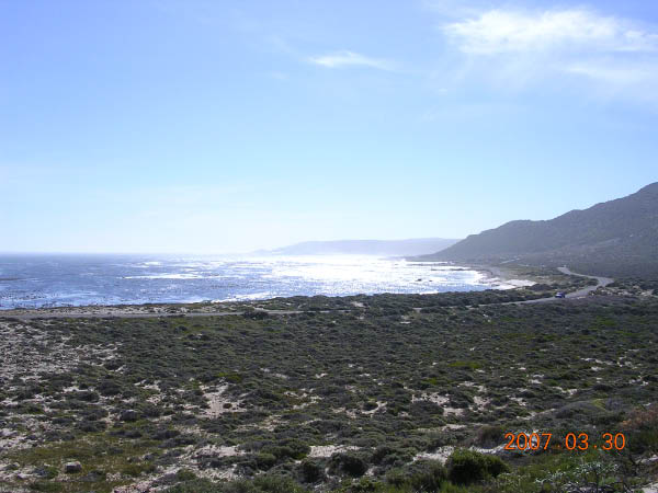 DSCN6675