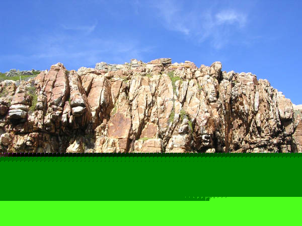 DSCN6676