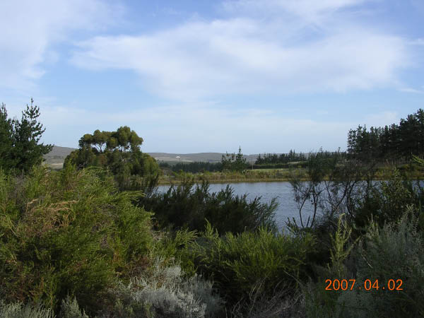 DSCN6723