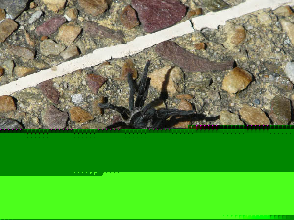P1140942