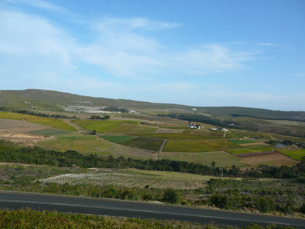P1150066