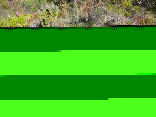 P1150166