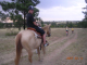 DSCN6193
