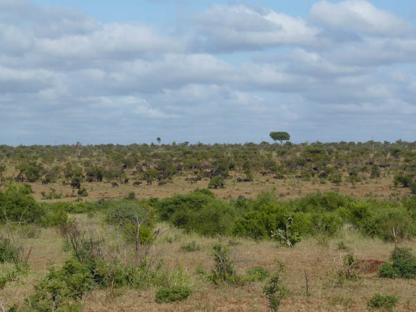 P1130767