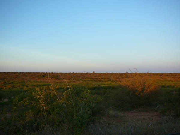 P1130895
