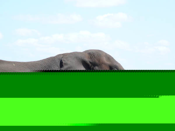 P1140014
