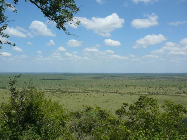 P1140026