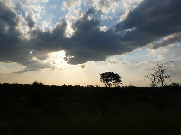 P1140060