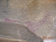 DSCN6219