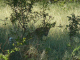 P1130799