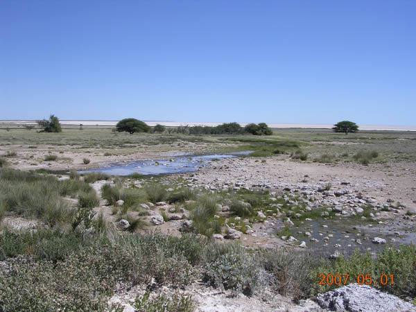 DSCN7196