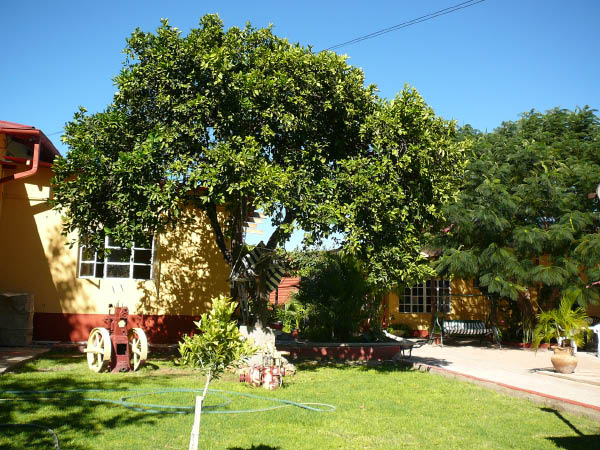 P1160394