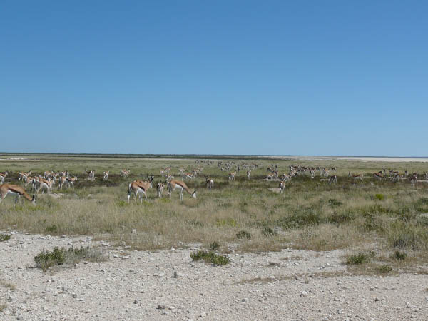 P1160665