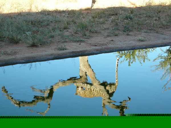 P1160934