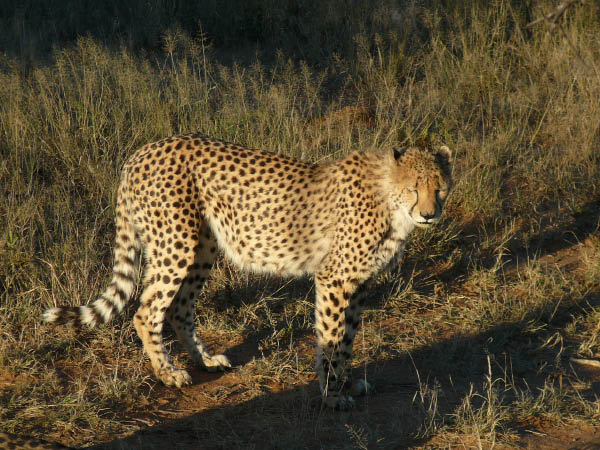 P1170001