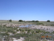 DSCN7206