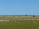 P1160440