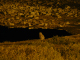 P1160769