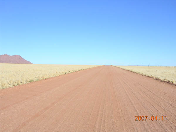DSCN6881