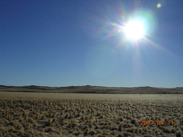 DSCN6892