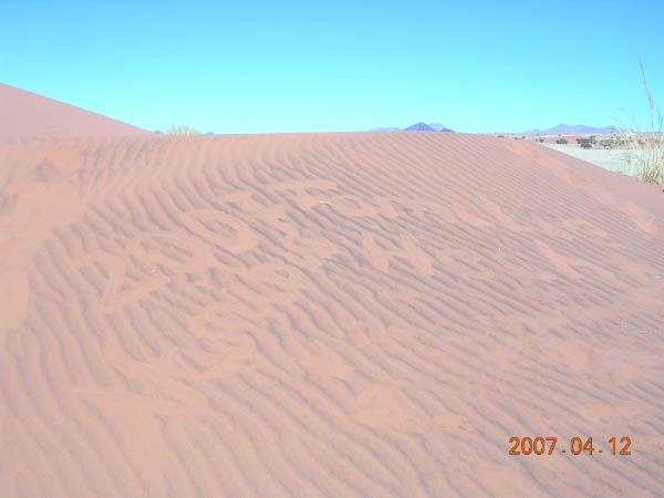 DSCN6954