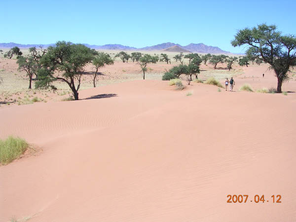 DSCN6968