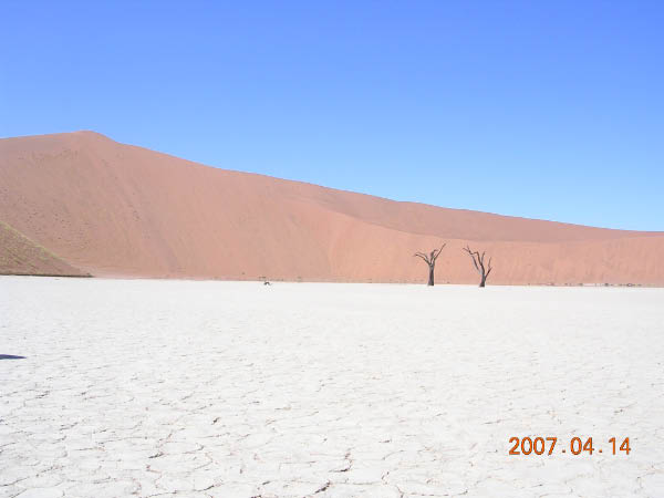 DSCN7025