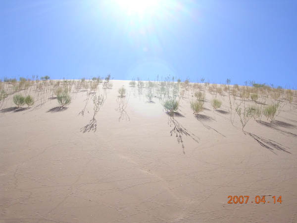 DSCN7039