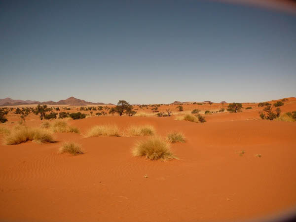 P1150646
