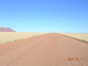 DSCN6881