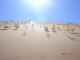 DSCN7039