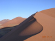 DSCN7075