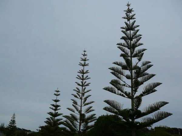 P1080720