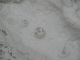 P1080039