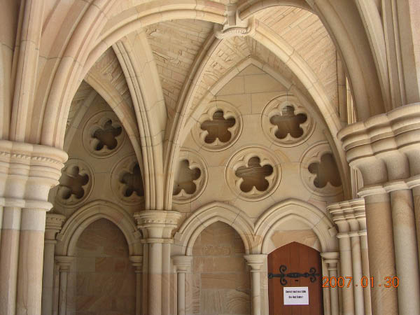 DSCN5145