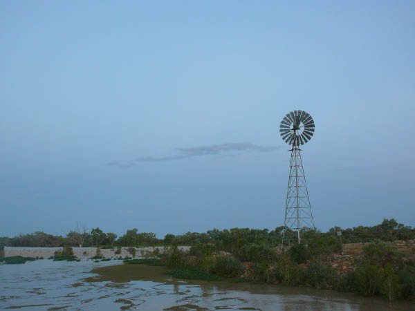 P1100104