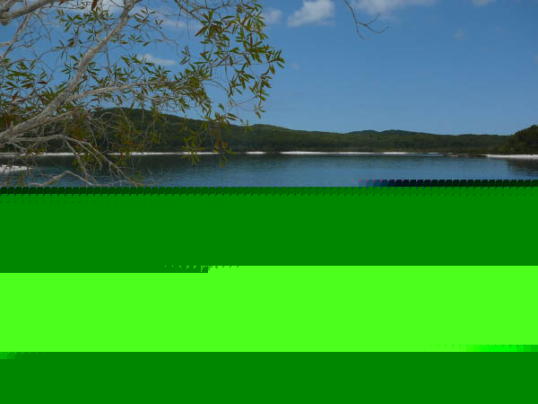 P1100585