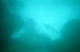 90680026