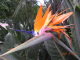 DSCN5172