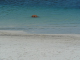 P1100591