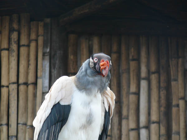 P1040049
