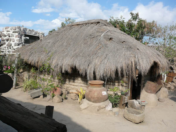 P1040498