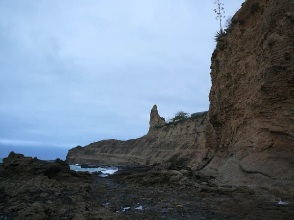 P1040593