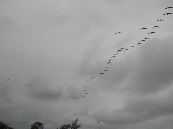 P1040751