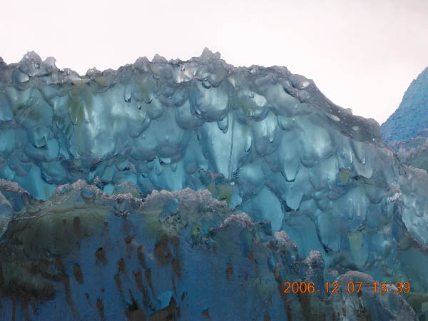 DSCN4550