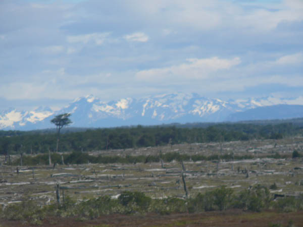 P1060926