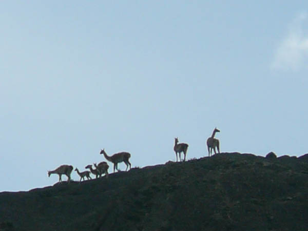 P1070055